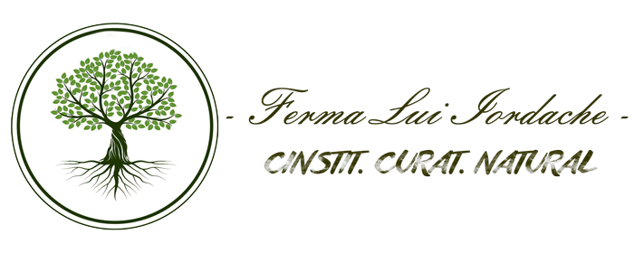 logo-landscape